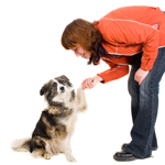 dog obedience